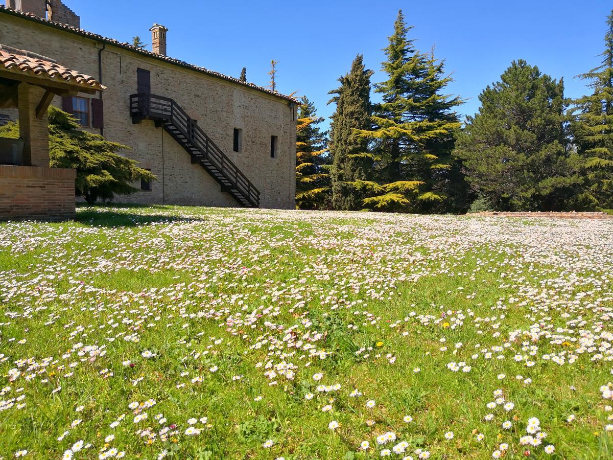 Convento Di San Francesco Mondaino Bed and Breakfast Buitenkant foto