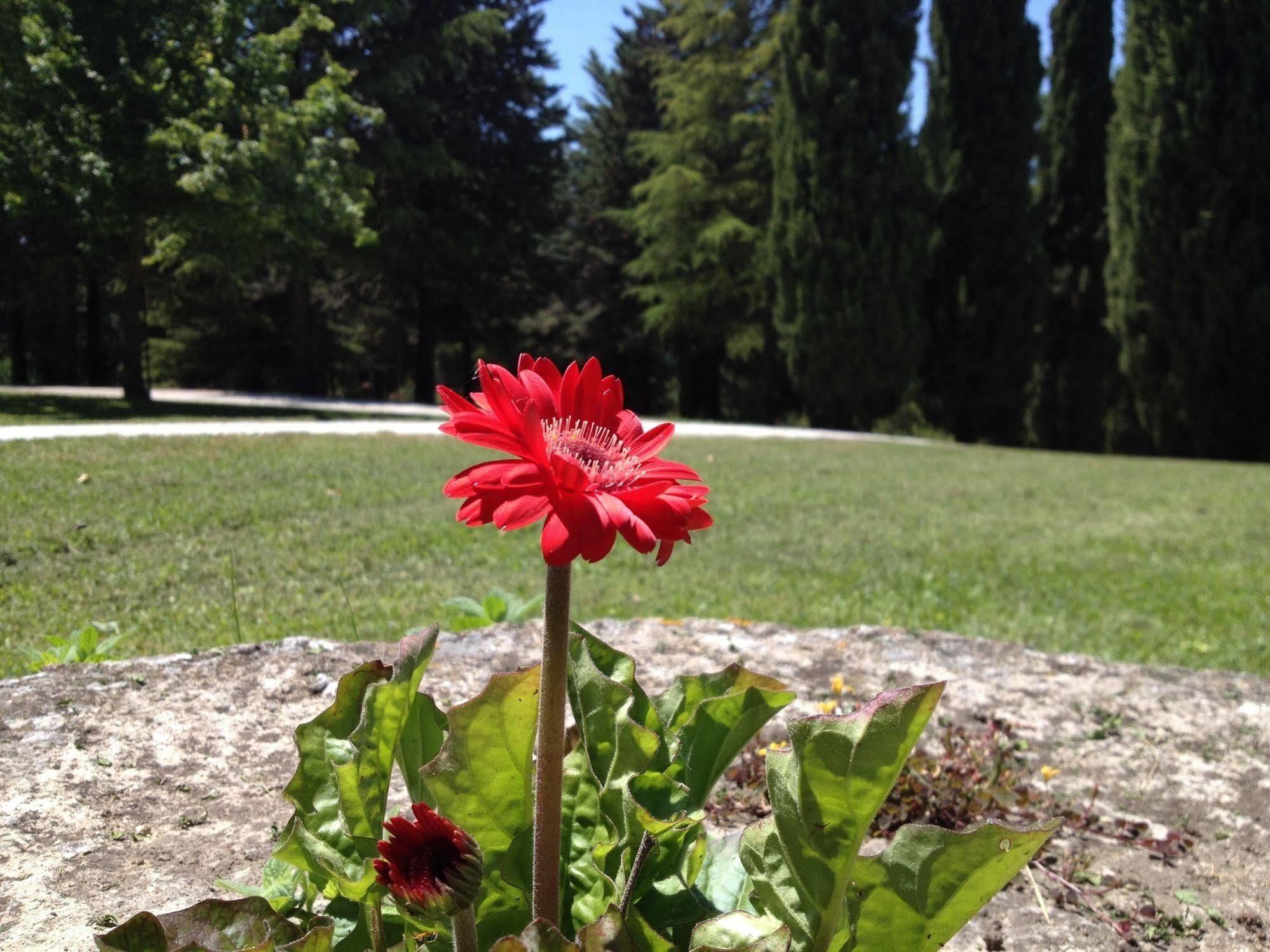 Convento Di San Francesco Mondaino Bed and Breakfast Buitenkant foto